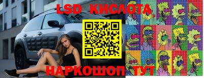 шишки Пугачёв