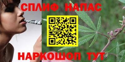 скорость Пушкино